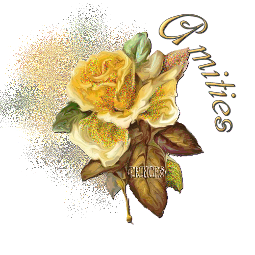message amitie